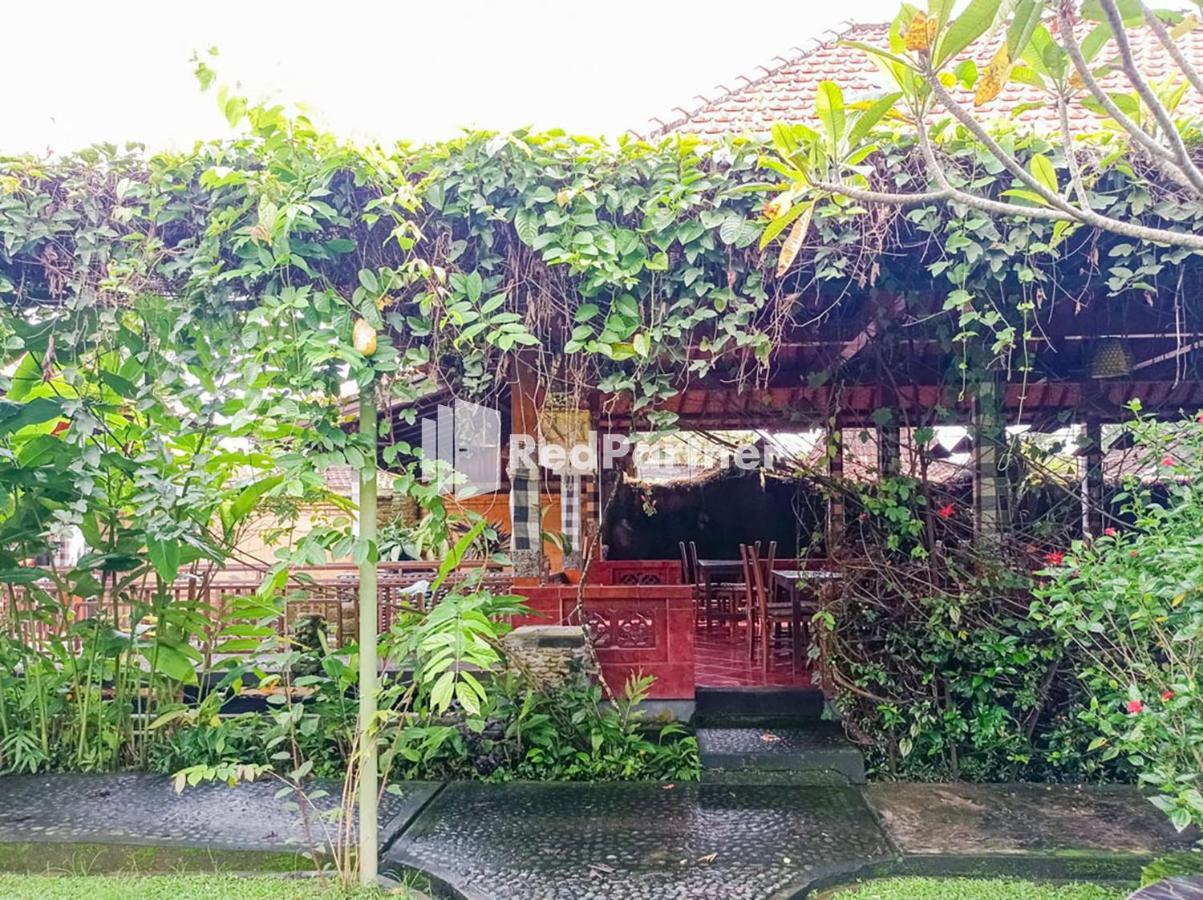 Nando House Apartment Ubud  Luaran gambar