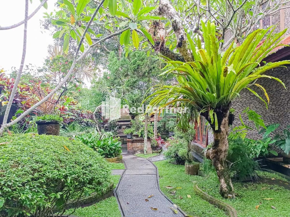 Nando House Apartment Ubud  Luaran gambar