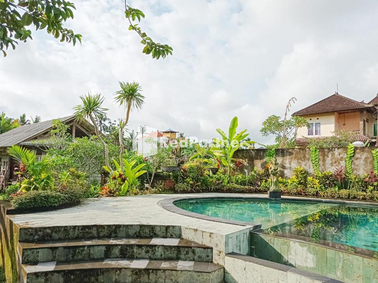 Nando House Apartment Ubud  Luaran gambar